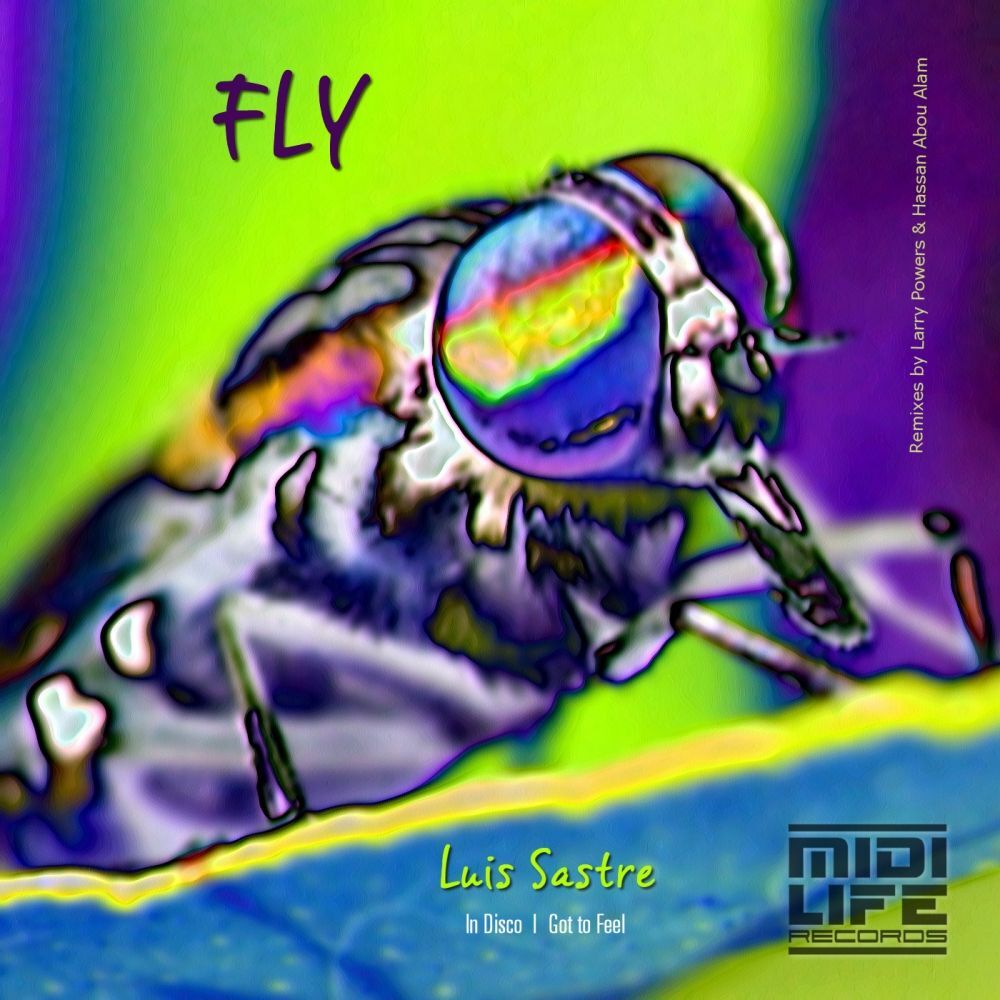 Picture of Fly