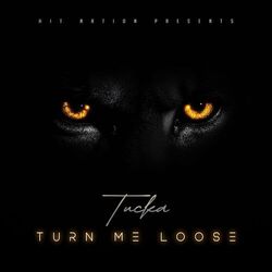Cover of Turn Me Loose