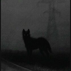 Cover of Dark Wolf