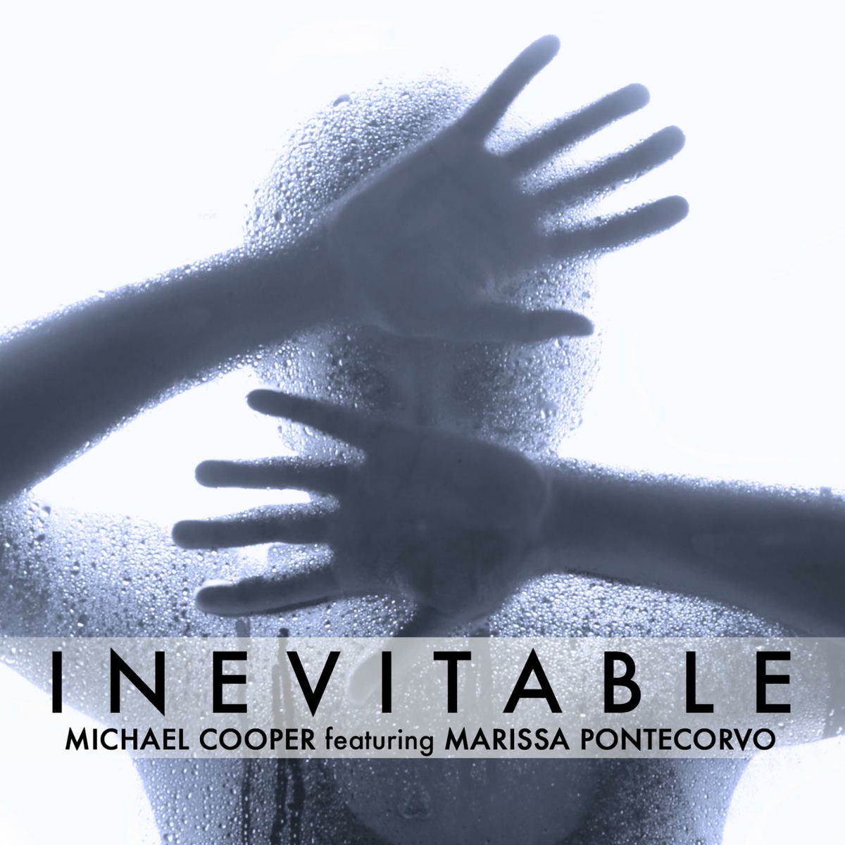 Album cover of Inevitable (feat. Marissa Pontecorvo)