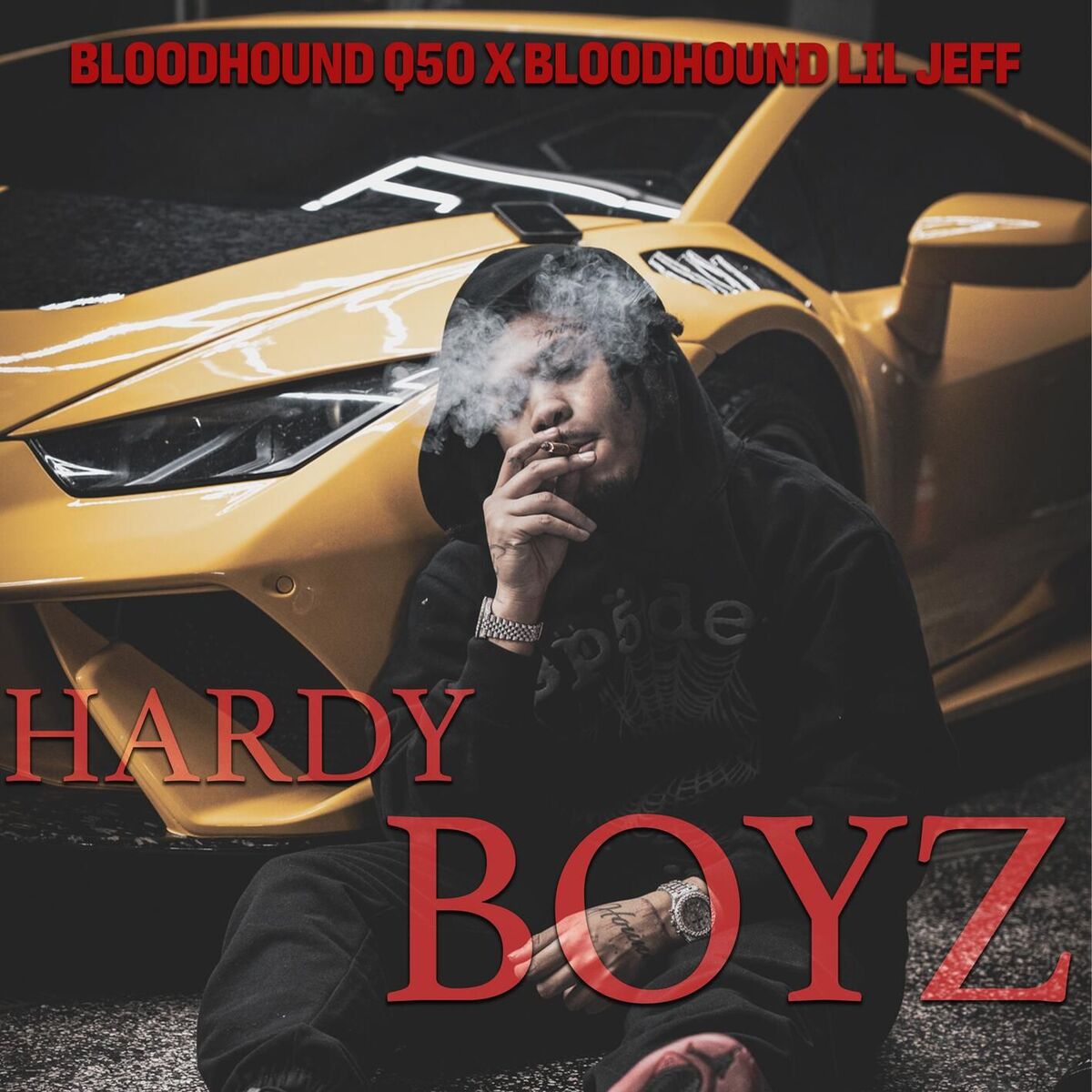 Album cover of Hardy Boyz
