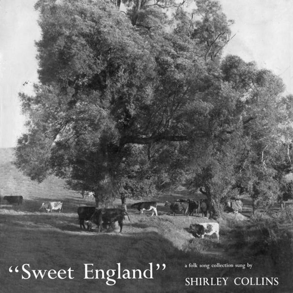Album cover of Sweet England