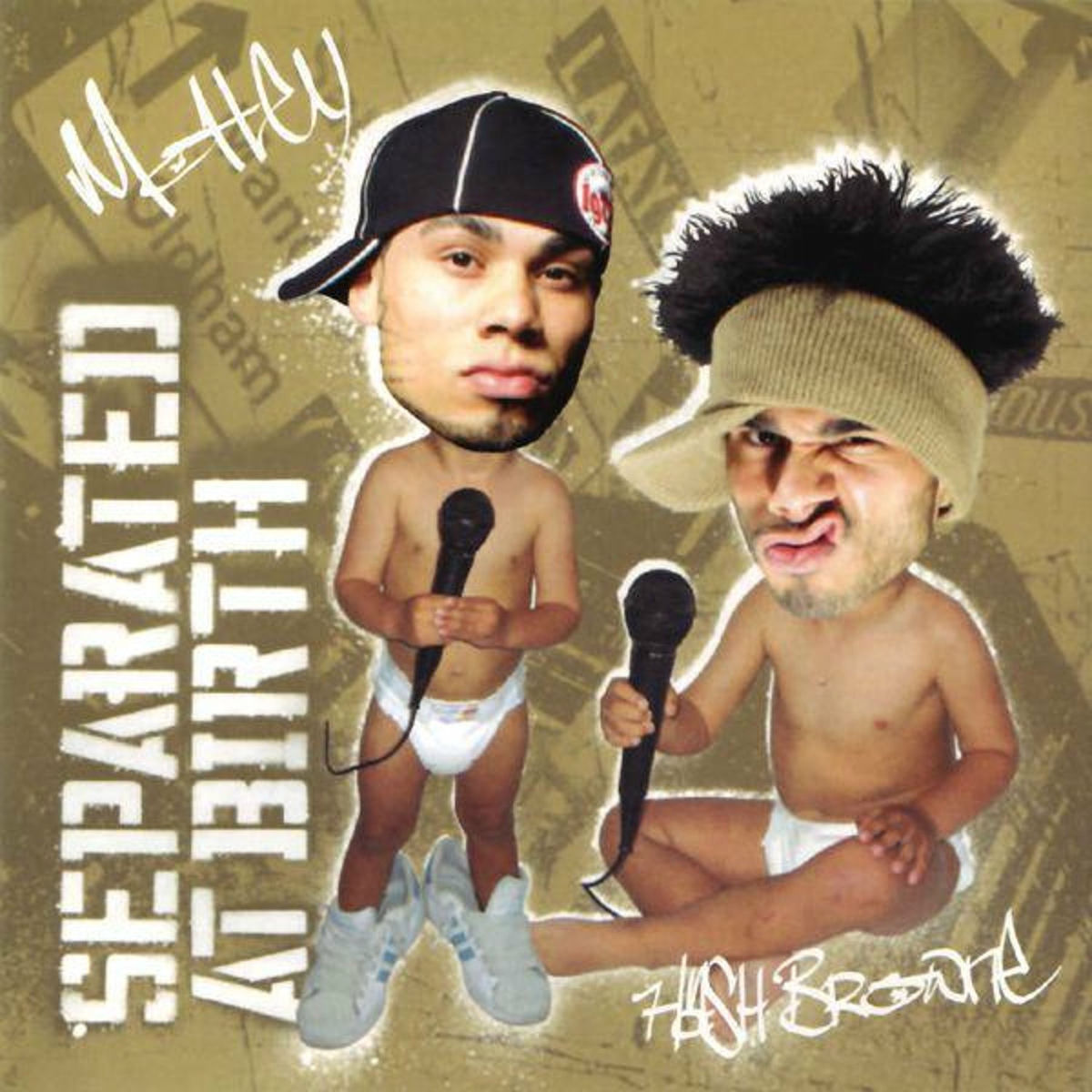 Album cover of Separated At Birth