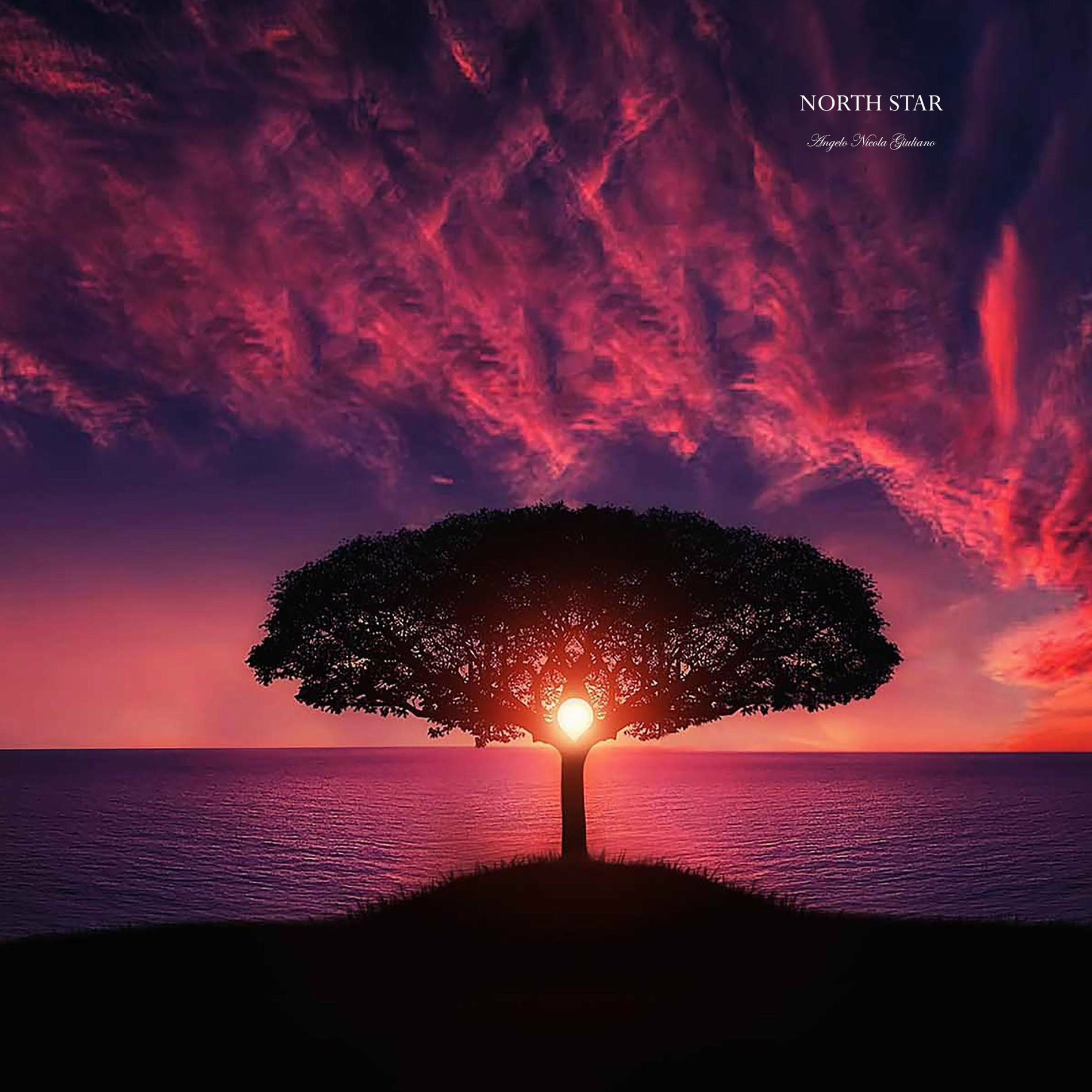 Album cover of North Star