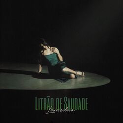 Cover of Litrão de Saudade