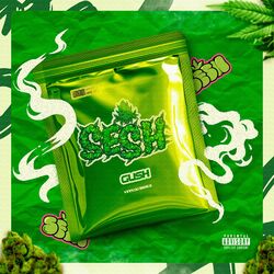 Cover of Sesh