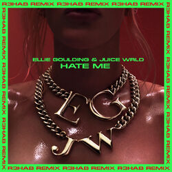 Cover of Hate Me (R3HAB Remix)