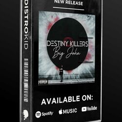 Cover of Destiny Killerz-instrumental