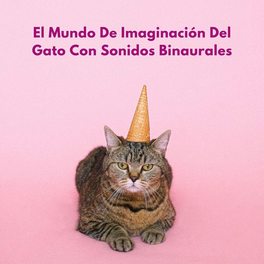 Picture of El Mundo De Imaginación Del Gato Con Sonidos Binaurales