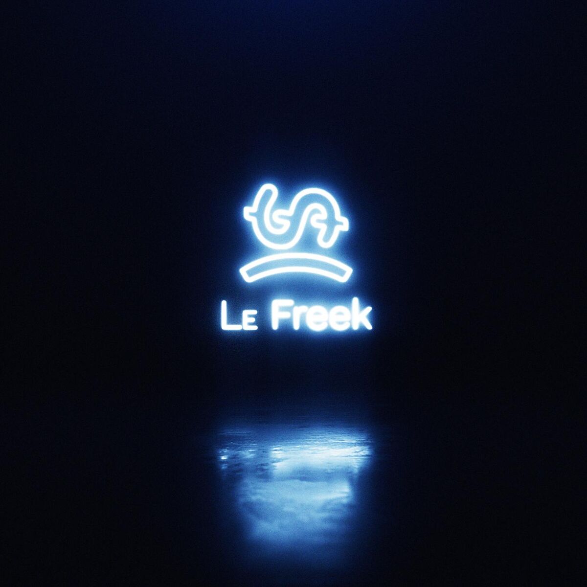 Album cover of Le Freek