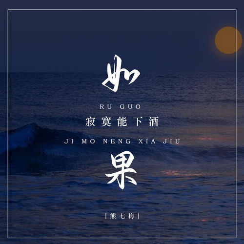 如果寂寞能下酒