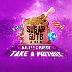 Cover of Take a Picture (Sugar Guts Riddim)