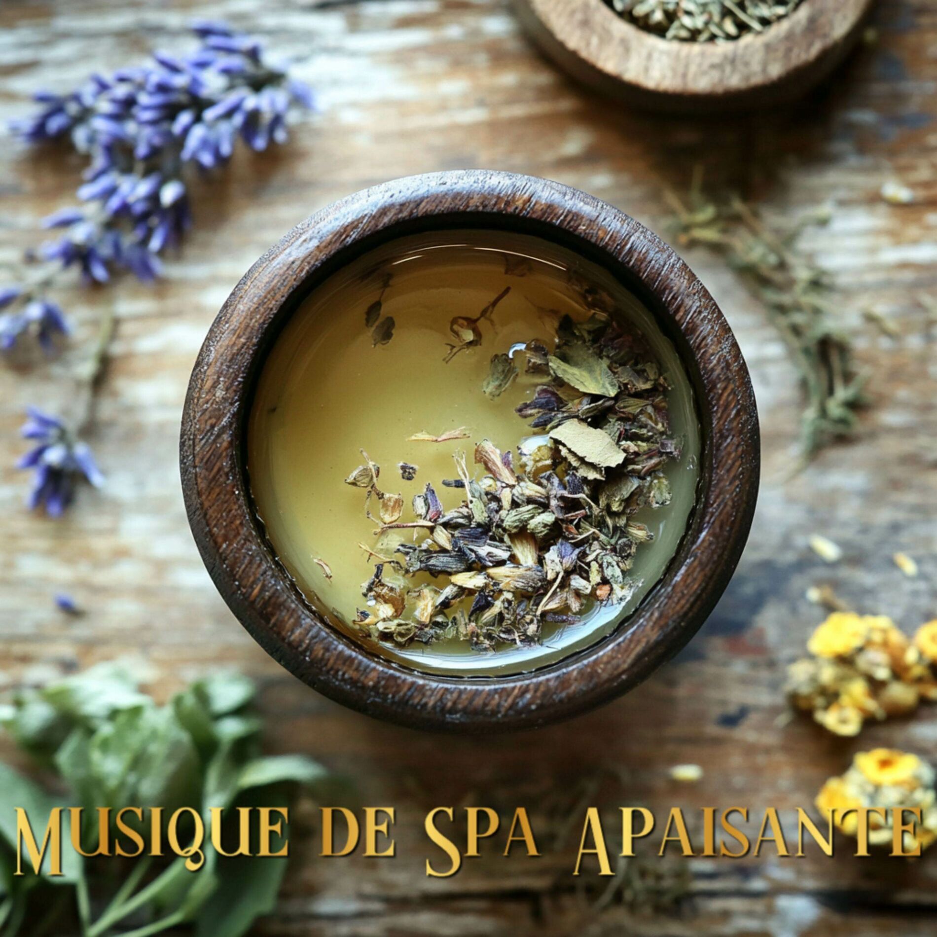 Album cover of Musique Pour les Séances de Spa