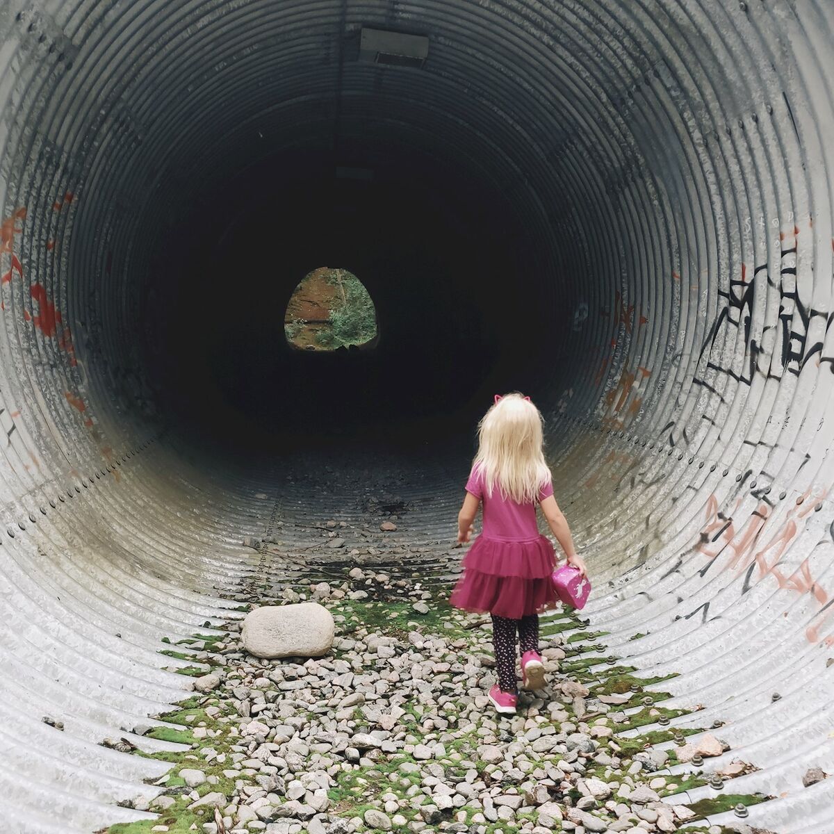 Album cover of Peppi ja Pan