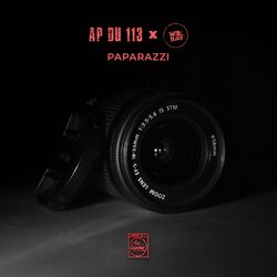 Cover of Paparazzi (Single)