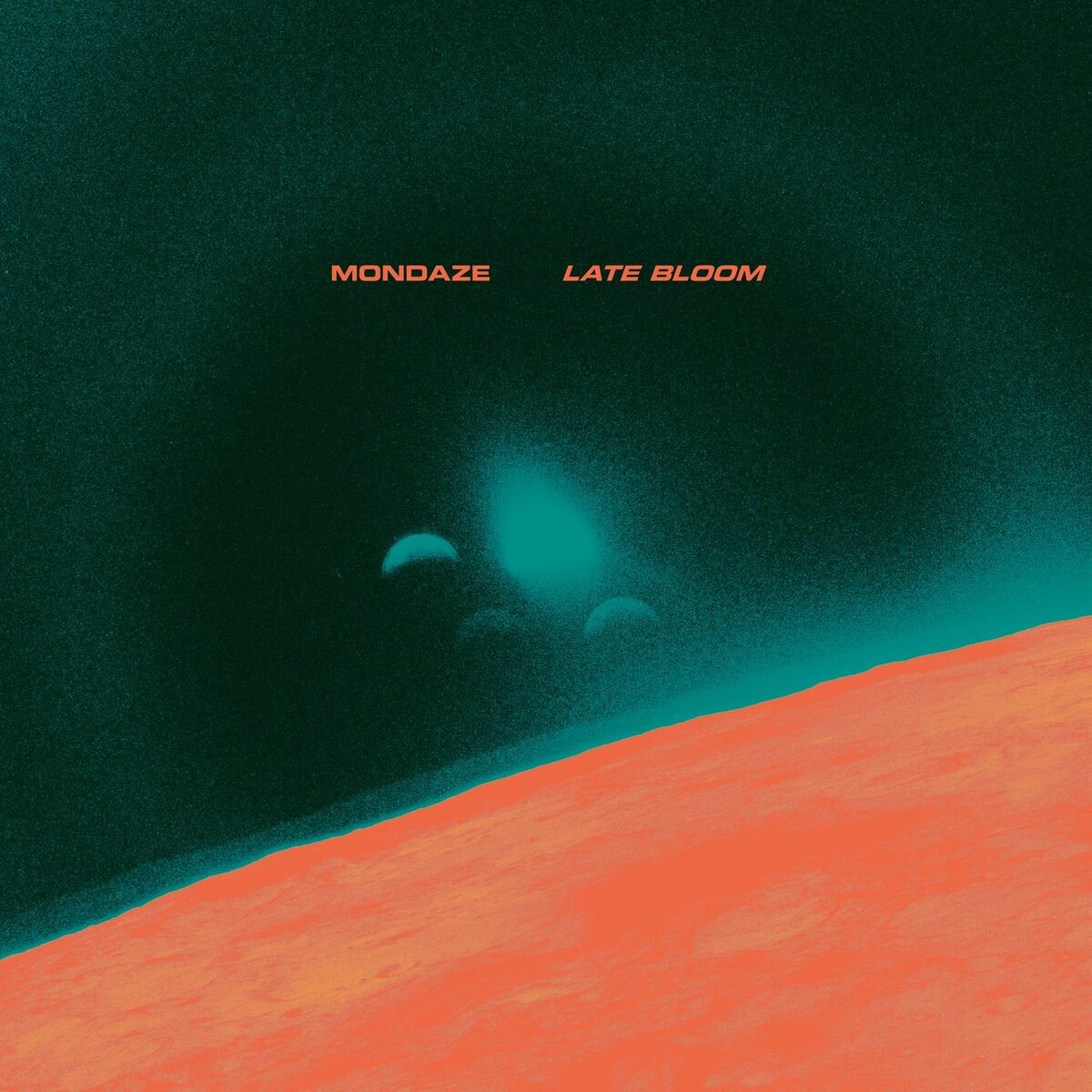 Album cover of Late Bloom