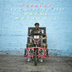 Cover of "Sky Surfing" Feat Wayne Marshall (Remixes)