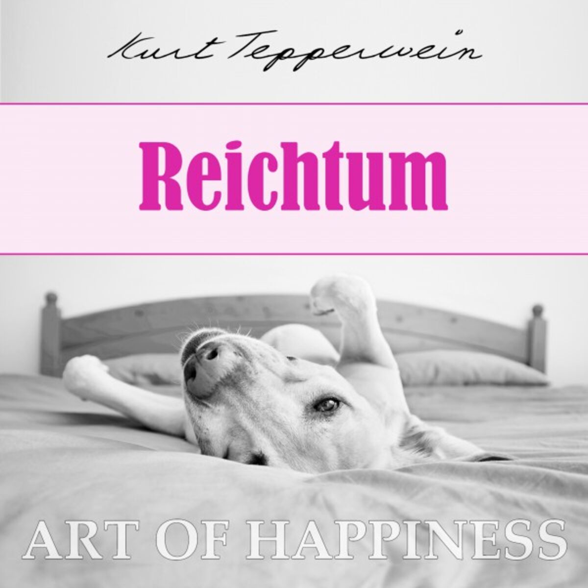 Album cover of Art of Happiness: Reichtum