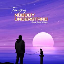 Cover of Nobody Understand