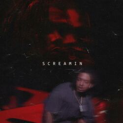 Cover of Screamin