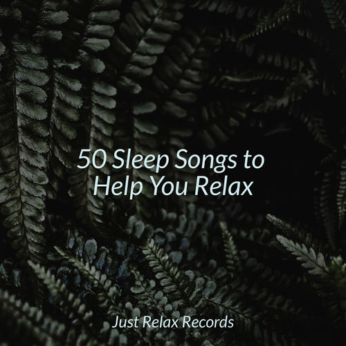 50 Sleep Songs to Help You Relax