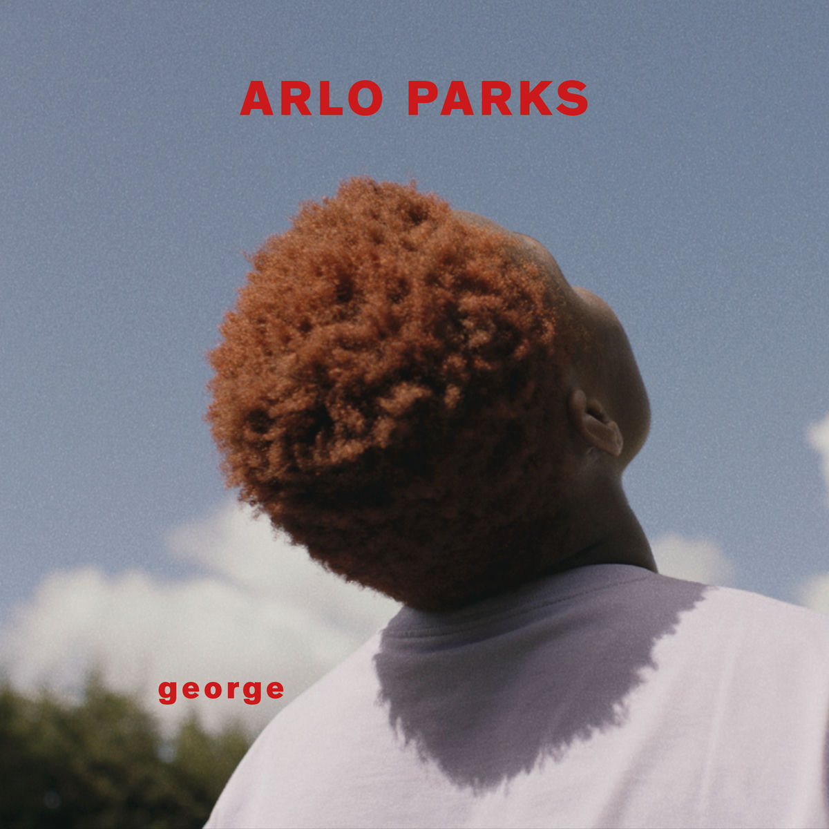 Album cover of George