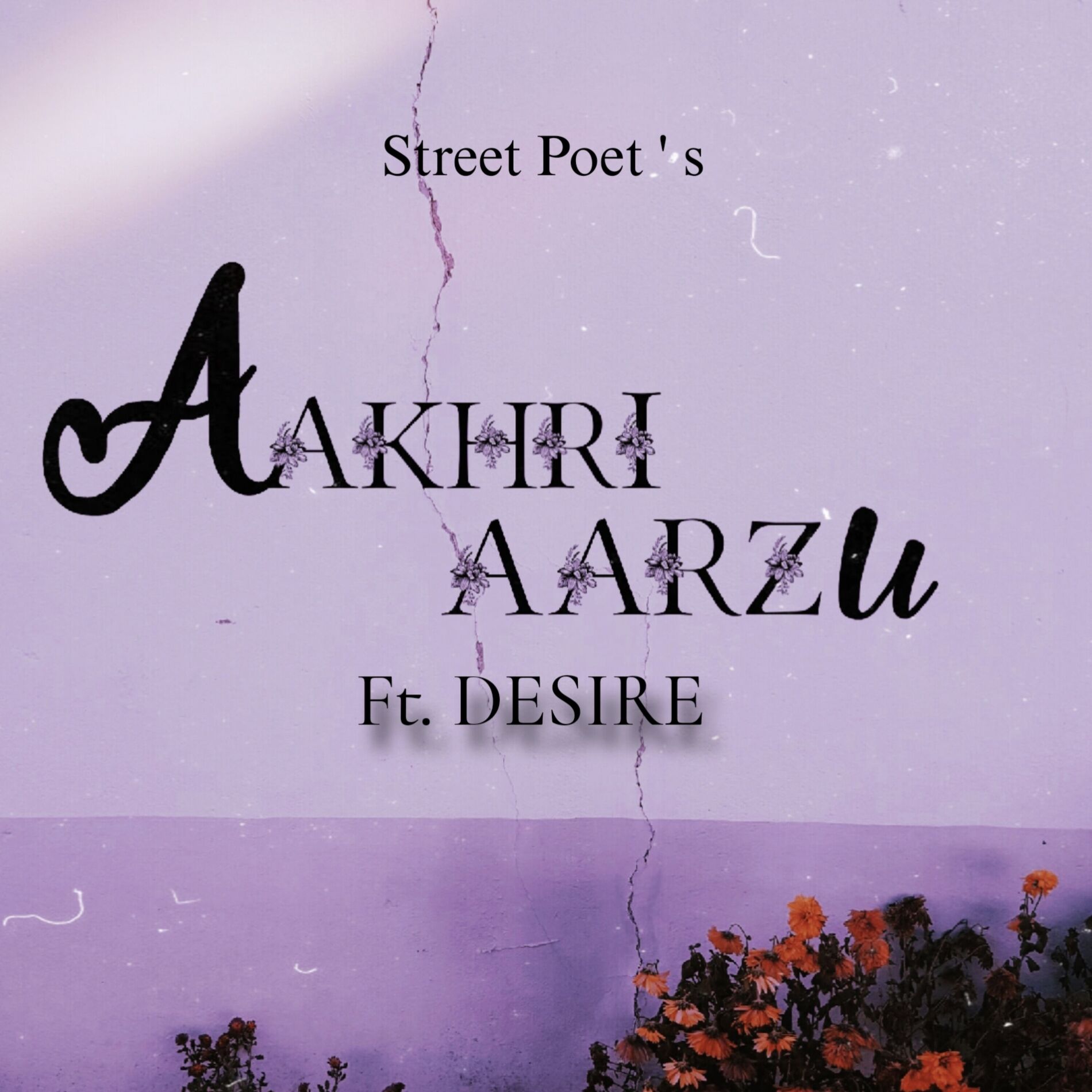 Album cover of Aakhri Aarzu