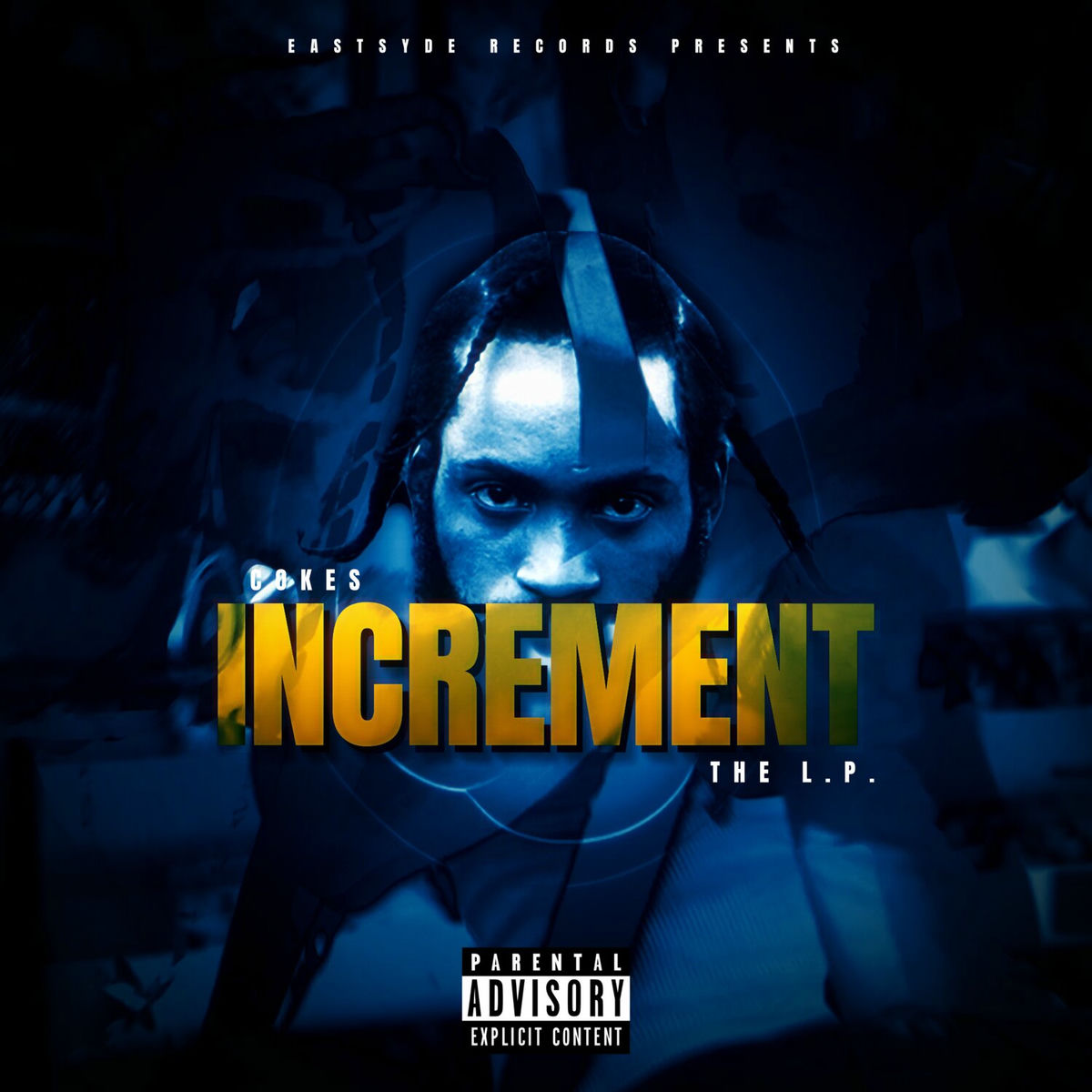 Album cover of INCREMENT