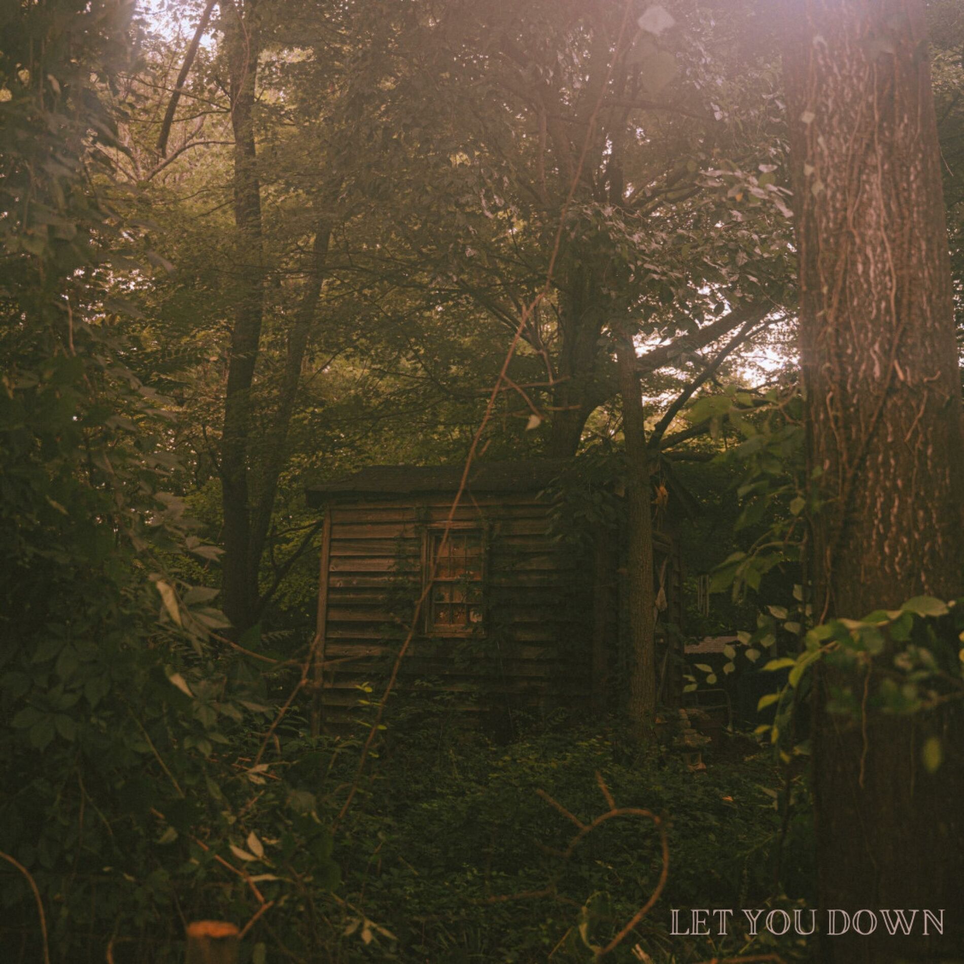 Album cover of Let You Down