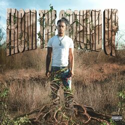 Cover of From The Ground Up