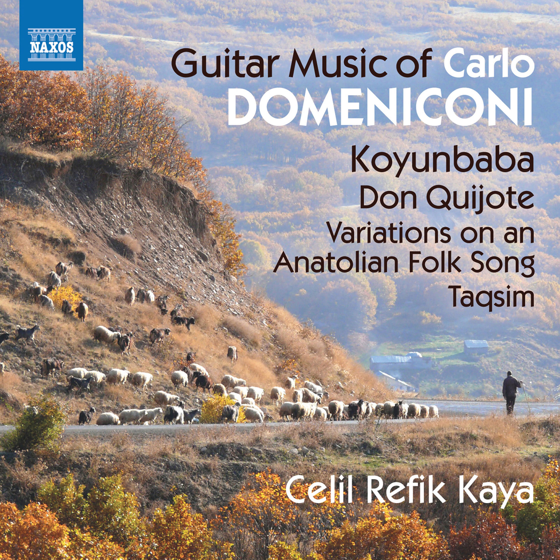 Album cover of Domeniconi: Guitar Music