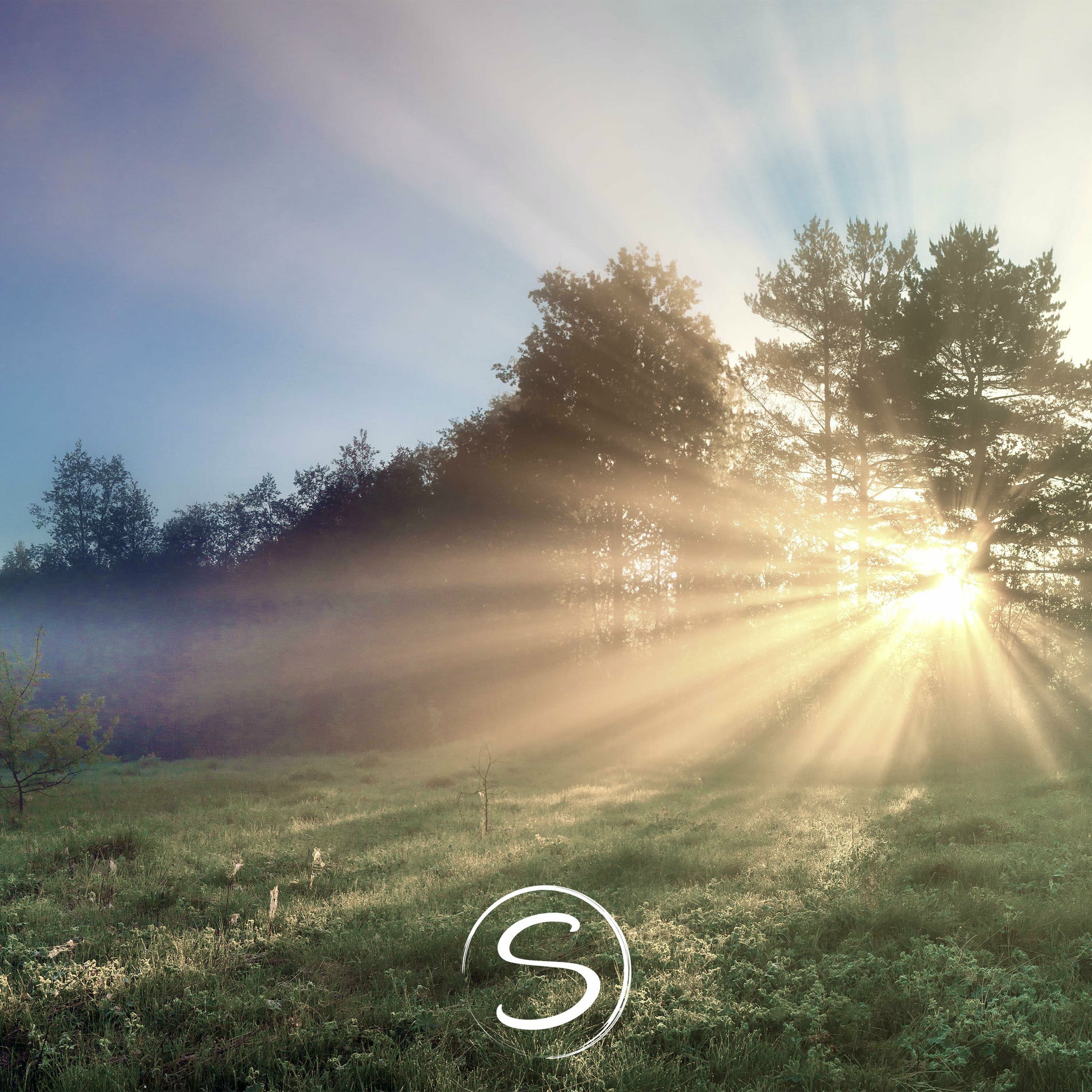 Album cover of Days Gone By