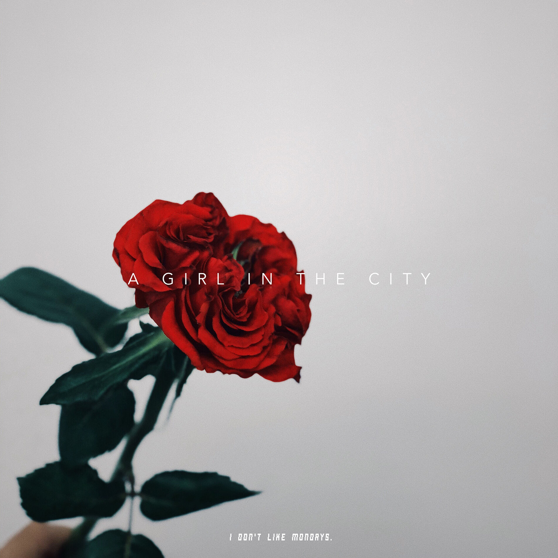 Album cover of A GIRL IN THE CITY