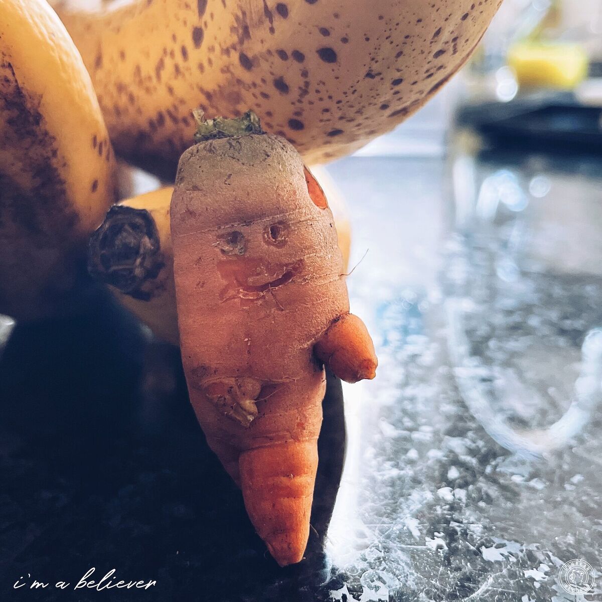 Album cover of I'm a Believer