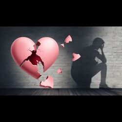 Cover of ME DESCULPA AMOR