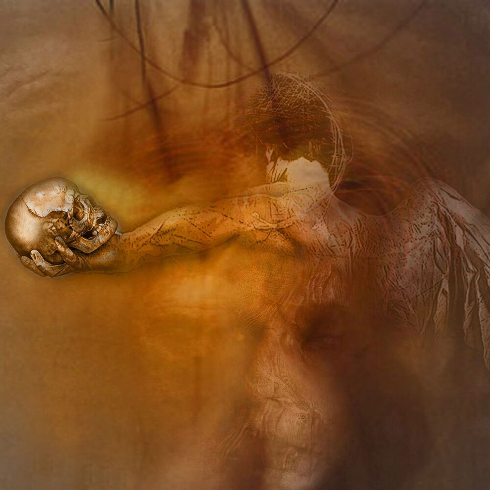 Picture of Apeitheia