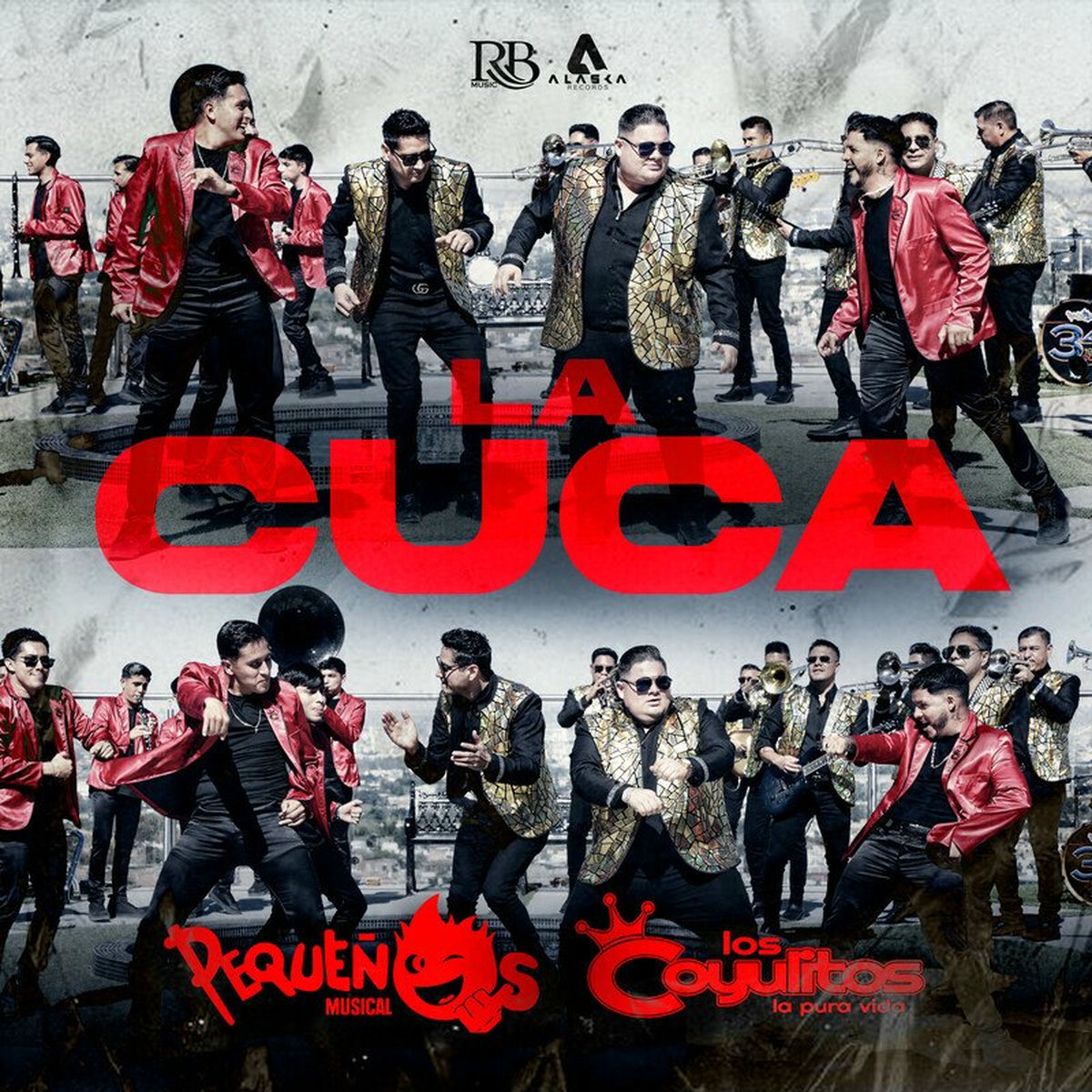 Album cover of La Cuca