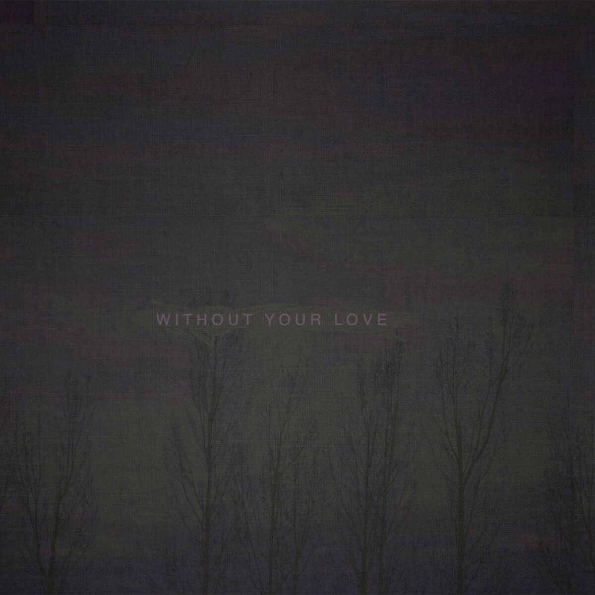 Album cover of Without Your Love