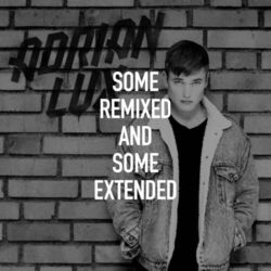 Cover of Some Remixed and Some Extended