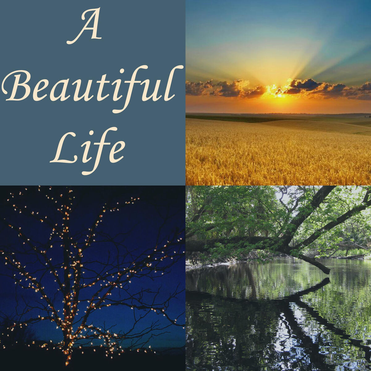 Album cover of A Beautiful Life