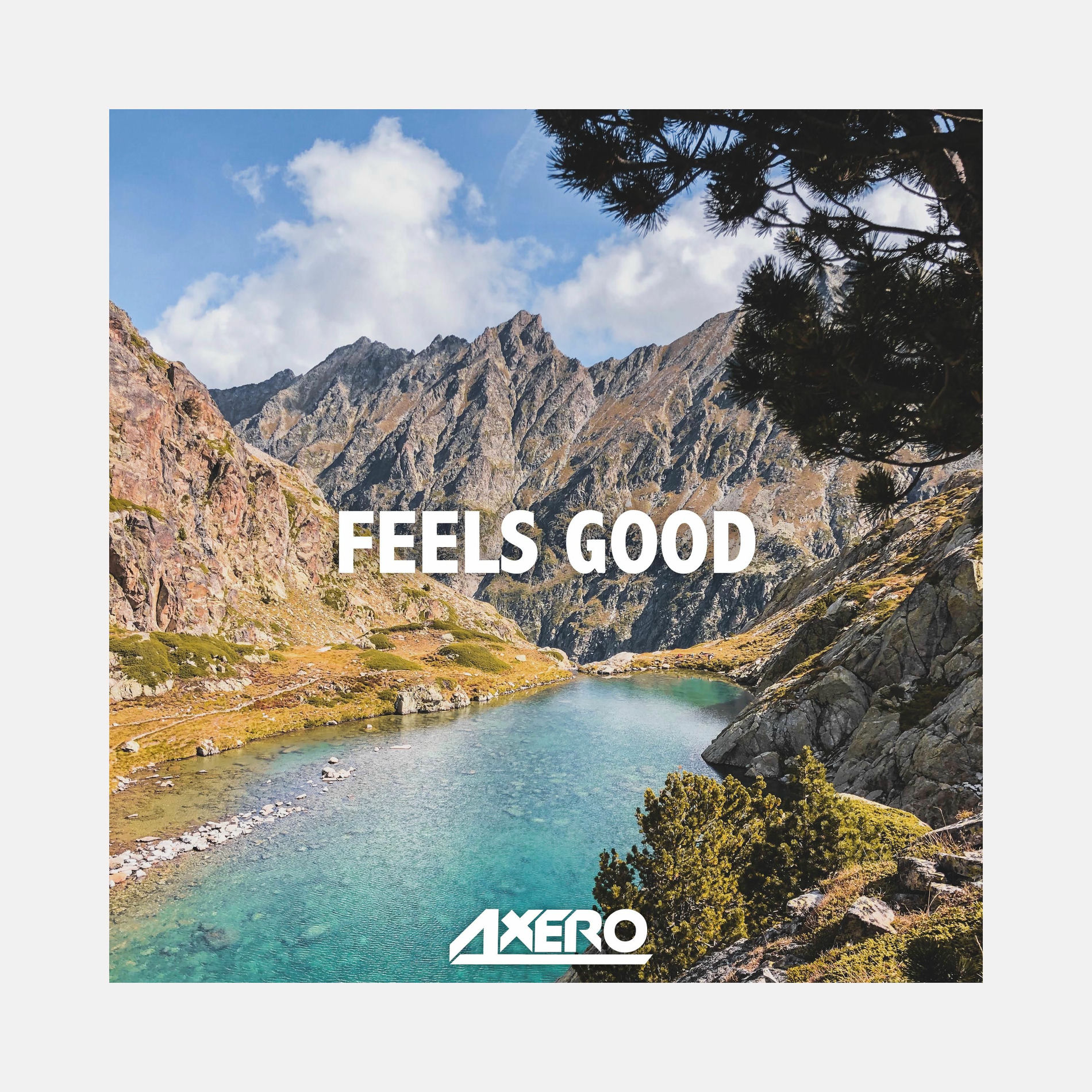 Album cover of Feels Good