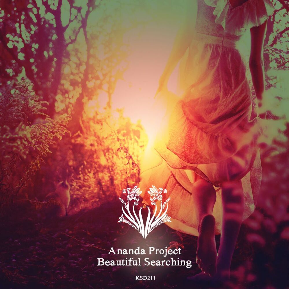 Picture of Beautiful Searching