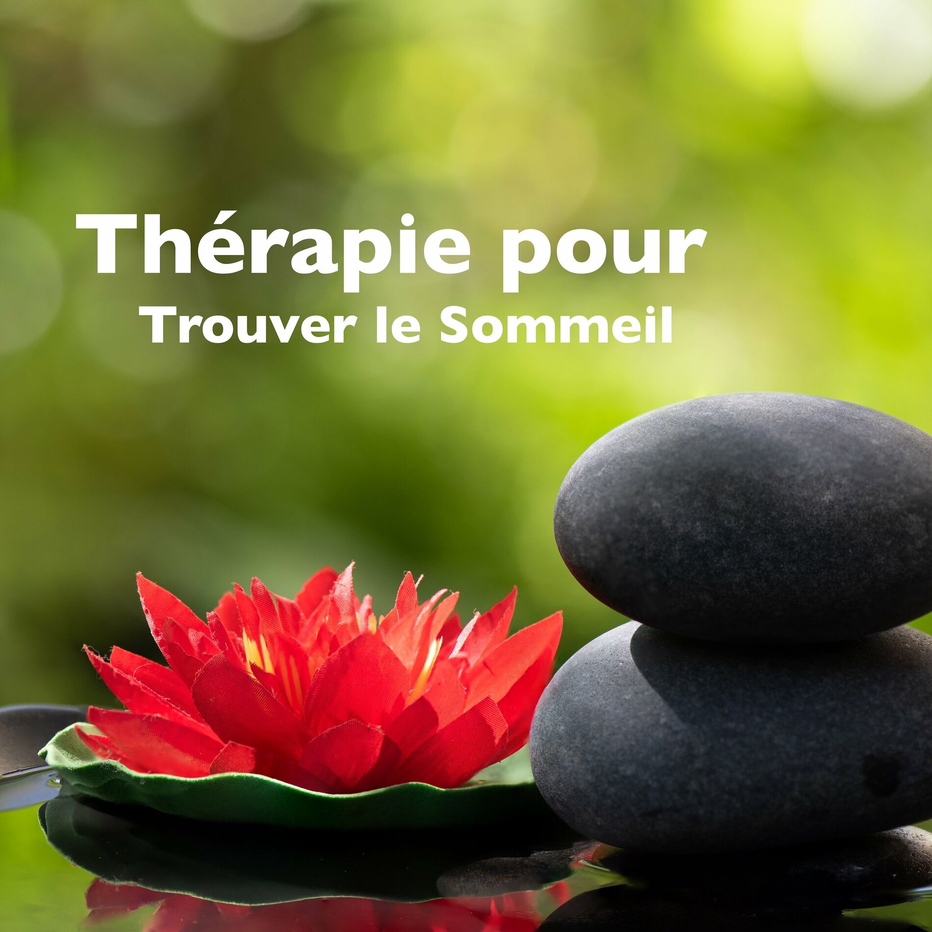 Album cover of Thérapie pour Trouver le Sommeil