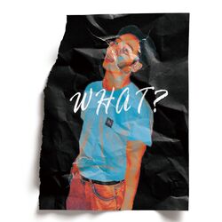 Cover of What?