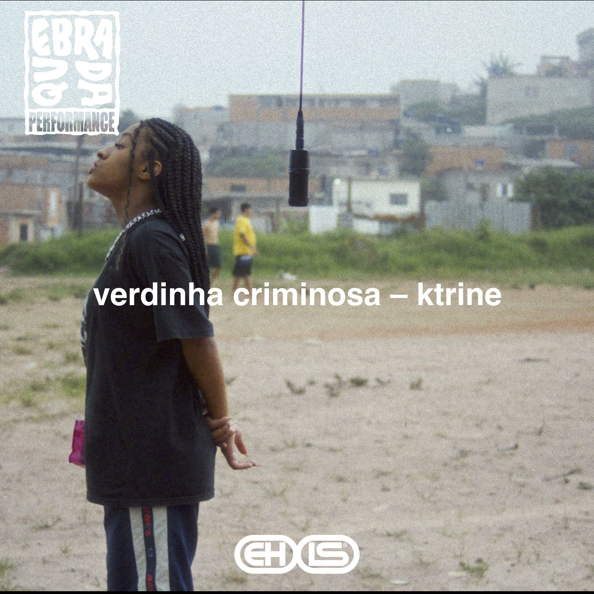 Album cover of Verdinha Criminosa