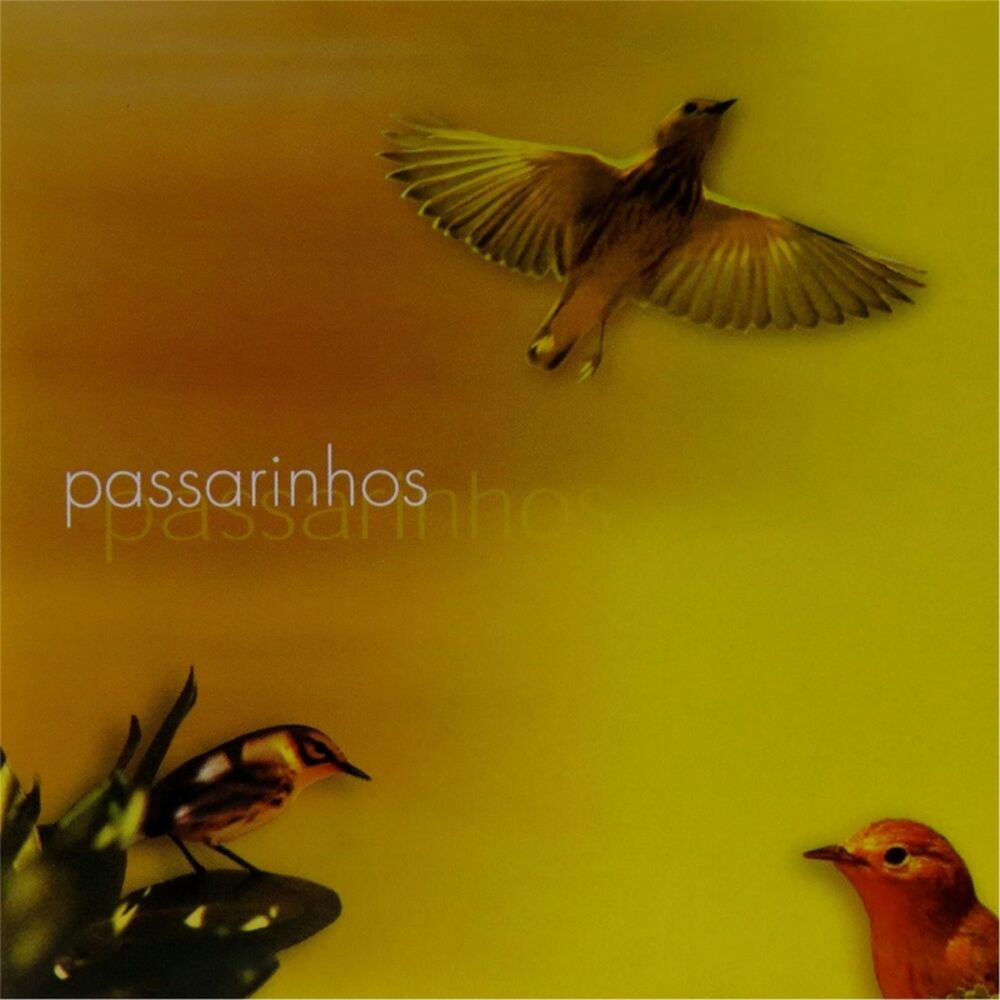 Picture of Passarinhos