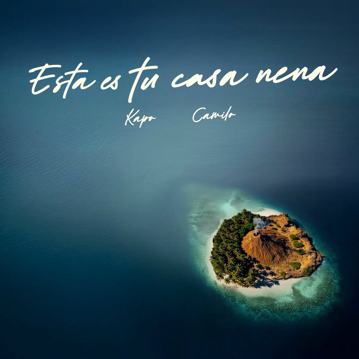 Album cover of ESTA ES TU CASA NENA