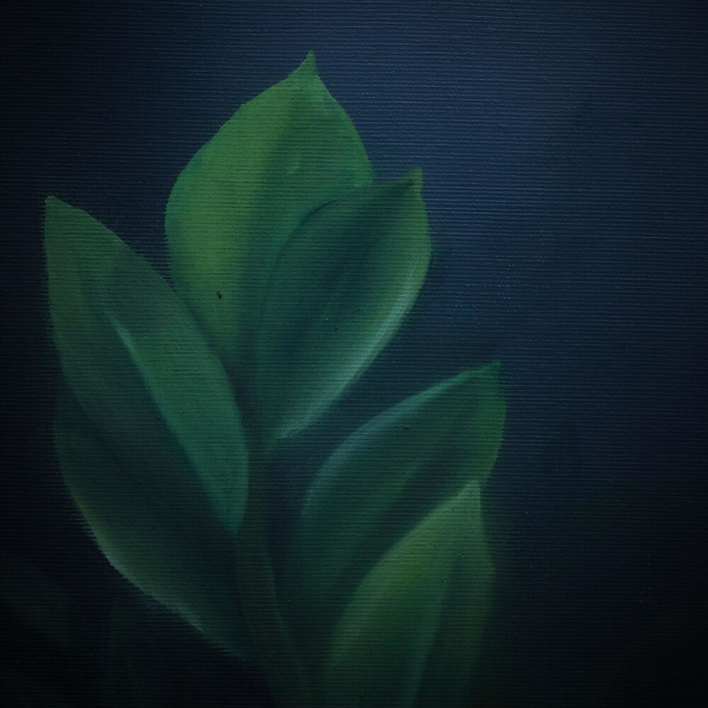 Picture of In Distant Terra