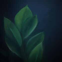 Cover of In Distant Terra