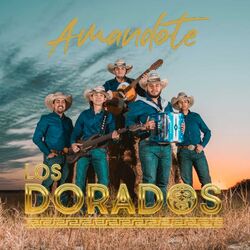Cover of Amandote